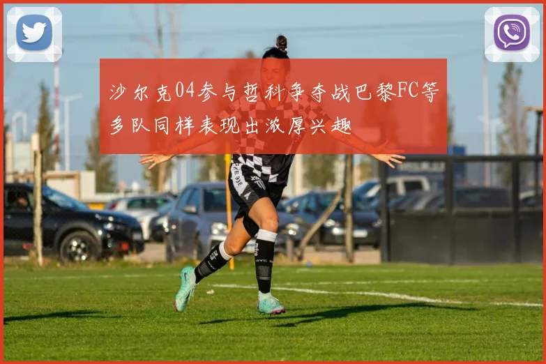 沙尔克04参与哲科争夺战巴黎FC等多队同样表现出浓厚兴趣